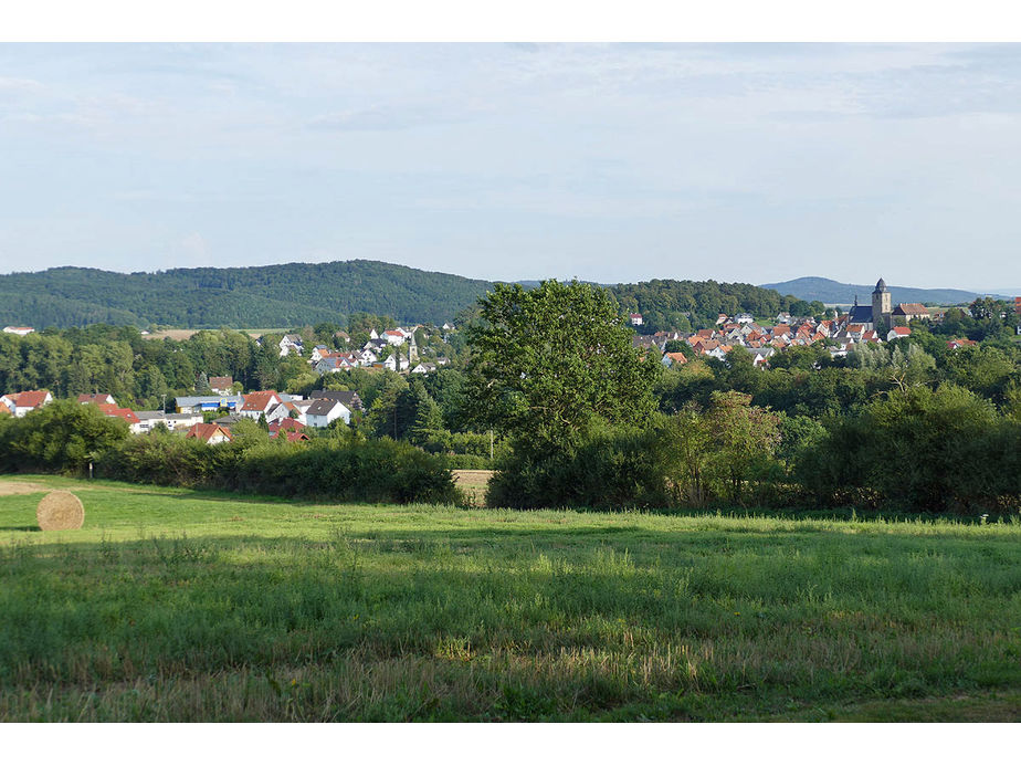 Naumburger Jugendfeuerwehr hilft an der Weingartenkapelle (Foto: Karl-Franz Thiede)